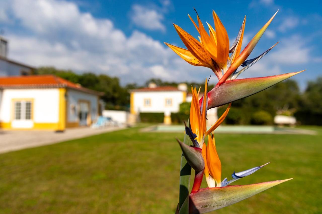 Quinta Do Pe Descalco Guesthouse Sintra Dış mekan fotoğraf